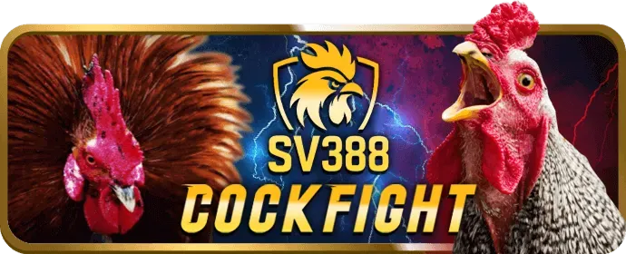 Hoàn trả cược thua V88