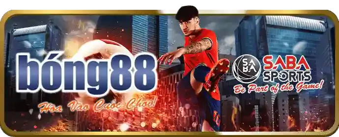 Biểu đồ tăng trưởng và một chiếc cúp vàng biểu tượng cho tỷ lệ thắng cao